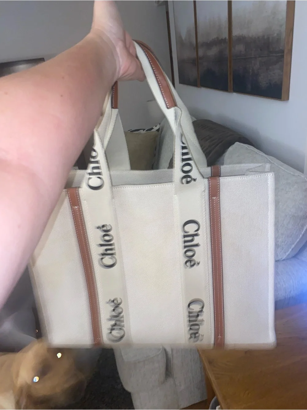 Beige & Brown Canvas Tote Bag